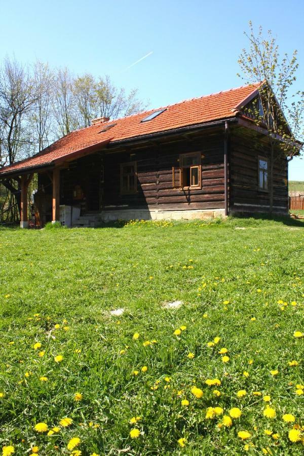 Gospodarstwo Agroturystyczne "Paryja" Olpiny Extérieur photo